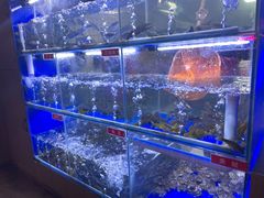-石锅苗苗鱼(武汉首店)