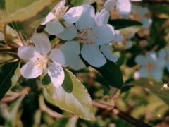 -江西阳明山国家森林公园