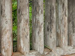 -东寨港红树林旅游区