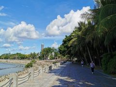 -深圳湾公园(南山区)