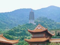 -梧桐山风景名胜区