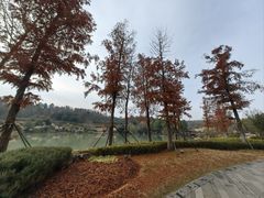 -牛首山文化旅游区