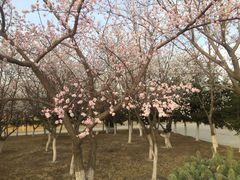 -长春世界雕塑园冰雪艺术天地