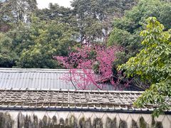 -凤来栖·净庭院·火锅(欧尚店)