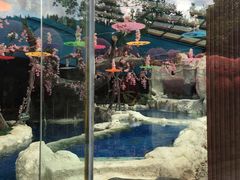 -中铁花水湾四季温泉谷