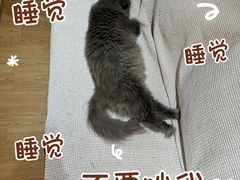 -小时光咖啡馆(开森度假森林店)