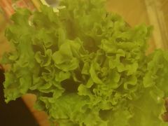 -九田家黑牛烤肉料理(衡百国际店)