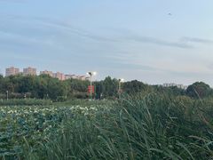 -咸阳湖景区