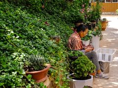 -山菌美食苑(振兴路店)