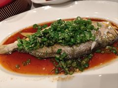 -许家菜.艺创菜(仁和新城店)