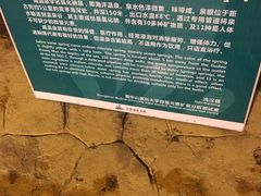 -江门古兜温泉小镇