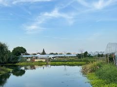 -马陆小张葡萄园农家乐