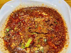 -柴窝堡22号辣子鸡·传承新疆菜