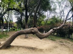 -玉山公园