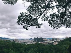 -金鸡山公园