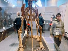 -北京周口店北京人遗址博物馆