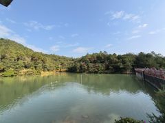 -广州白江湖森林公园