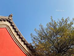 -明真观