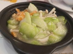 -海金滋(陕西南路店)