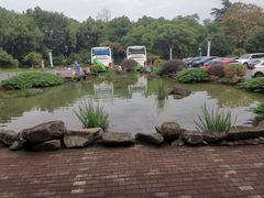 -浙江宾馆·花园餐厅·自助餐厅·茶吧
