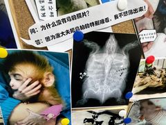 -美联众合动物医院·24h转诊中心