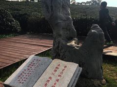 -南京市江宁方山
