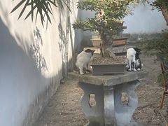 -西园戒幢律寺