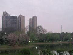-堤角公园