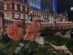 -澳门喜来登大酒店