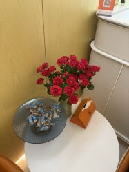 -苑苑vbeauty科技美容SPA