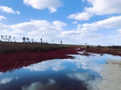 -三乐海鲜水饺馆