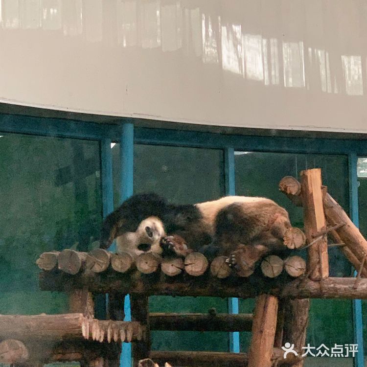天津·秋季游玩好去处[加油]