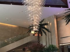 -常州环球恐龙城维景国际大酒店