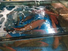 -海九澎湖海鲜餐厅