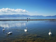 -赛里木湖风景名胜区