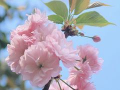 -府河摄影公园