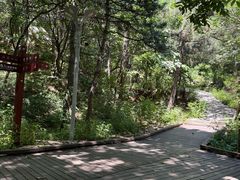 -青岩寺风景区