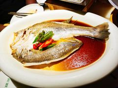 葱椒鲈鱼-绿茶餐厅(领展购物广场·中关村店)