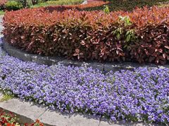 -杨高南路(地铁站)