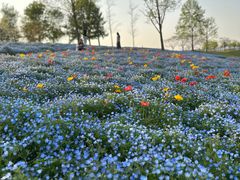 -上海辰山植物园
