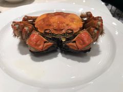 -新雅粤菜馆(南京东路店)