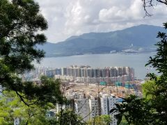 -大埔公路-马料水段香港中文大学(公交站)