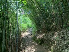 -井空里大峡谷
