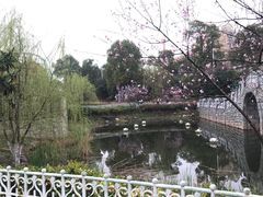 -南昌融创乐园