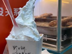 -野人先生现做冰淇淋(西安赛格店)