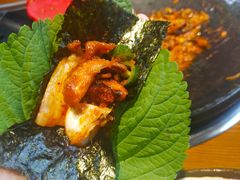 -红辣椒八爪鱼特色韩国料理