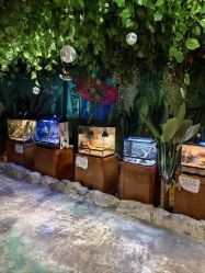 -酷嗒动物文化乐园(cutezoo西溪乐天城店)