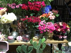 -植物学家的女儿(北马道巷店)