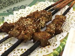 红柳烤串-新疆红柳花餐厅(新洲店)