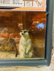 -酷嗒动物文化乐园(cutezoo西溪乐天城店)